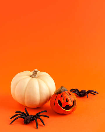 Close up of decoration orange and white small smile Halloween pumpkin mockup template white frame with wooden borders and black horror spiders on orange blurred background copy space. Holiday autumn.の写真素材