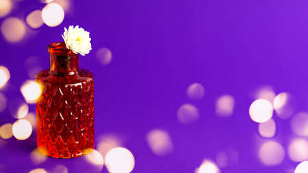 White chrysanthemum flowers in tiny red vase from glass with texture with gold bokeh on purple background. Autumn holiday and home decor concept with copy spaceの写真素材