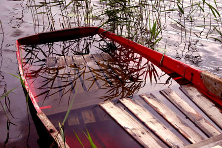 A boat full of water, reflection of reeds in the waterの写真素材