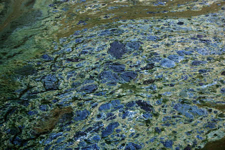 Tainted water  texture- with technical oil and lubrikantの写真素材