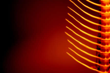 One-sided fishbone close-up background. Christmas tree? No,- a day after Christmas ;)の写真素材