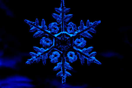 Snowflake, artistic modeの写真素材