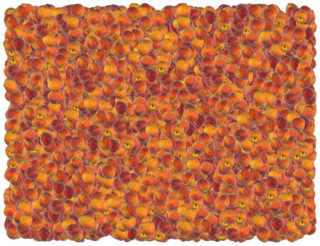 Peaches background. From Food background seriesの写真素材