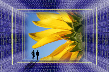 Escape from the digital captivity to the nature: binary code tunnel and a sunflower
