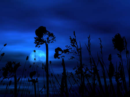 Moonlight floral backgroundの写真素材