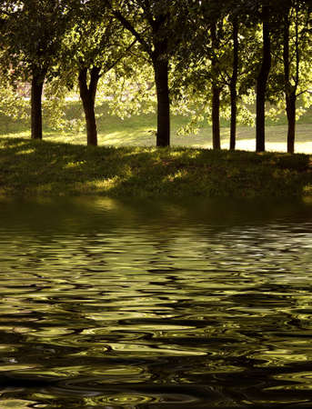 Summer, park and a river
