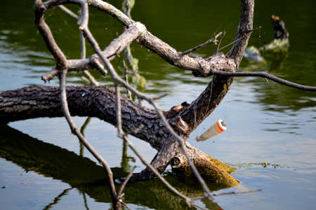 Hit a Snag? / Try Again!の写真素材