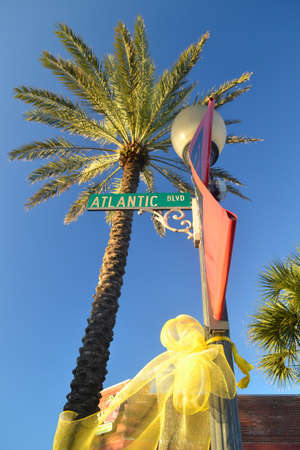 Atlantic Blvd--Street Sign, Palm Tree, Lamppost, Yellow Ribbon.のeditorial素材