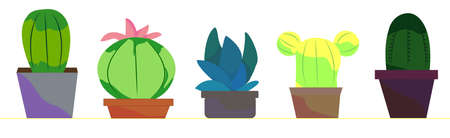 Cactus icons in a flat style on a white background. Home plants cacti in pots and with flowers.のイラスト素材