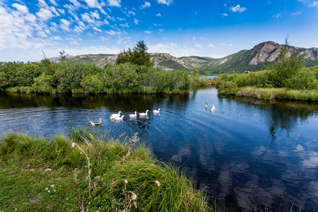 Beautiful  panorame,  sky, plant, hillの写真素材
