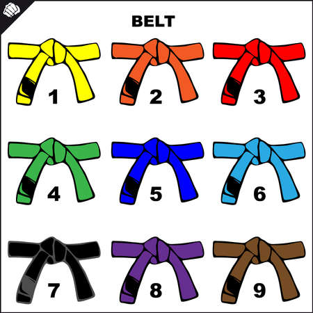 okinawan karate belts