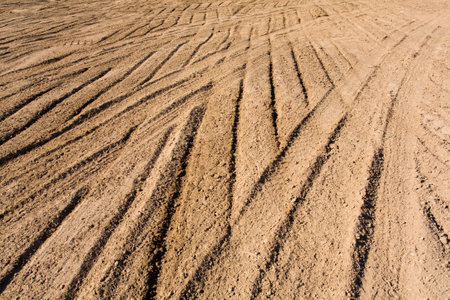 Dry land in the desert without water and life. texture cracked clay backgroundの写真素材