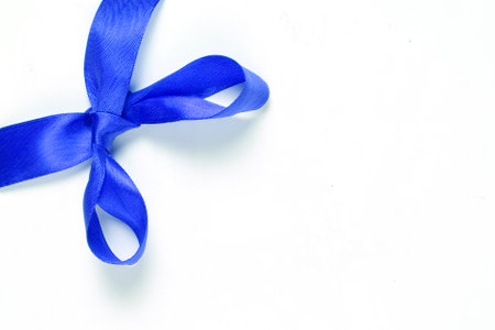 Blue ribbon bow on a white background.