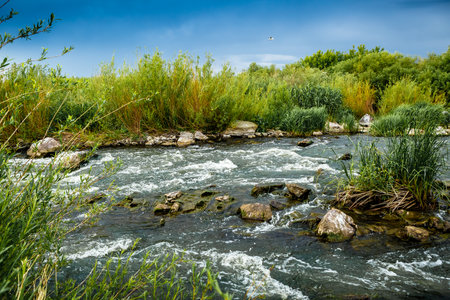 Beautiful colored landscape. High quality photo.