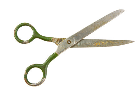 Old metal scissors. High quality photo