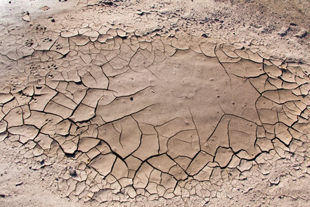 Dry land in the desert without water and life. Texture cracked clay background