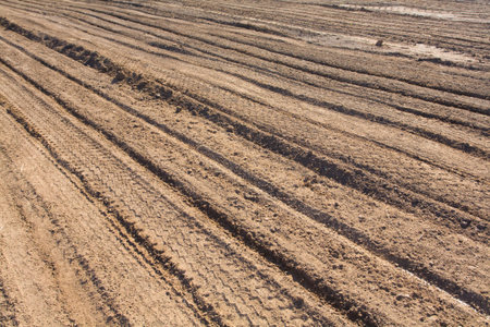 Dry land in the desert without water and life.