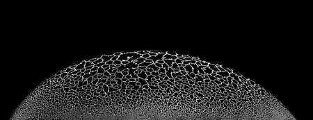 Beautiful textures and rich colorsの写真素材