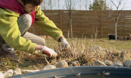 Close up young man pruning with secateurs dry stalks of last year's flowers on a flower bed. Spring work in the garden. Man working in the yard near the pond.の写真素材