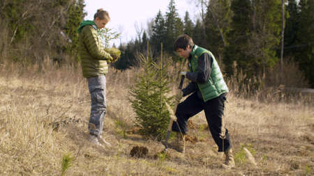 Young attractive woman holding a small fir tree, a man digging a soil near the forest. Family activists planting trees in spring. Earth Day, eco friendly conceptの写真素材