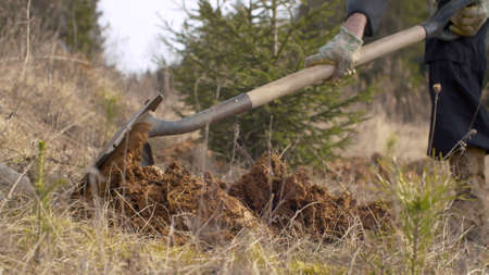 Close up legs of a man digging a soil near the forest. Planting trees in spring. Earth Day, eco friendly conceptの写真素材