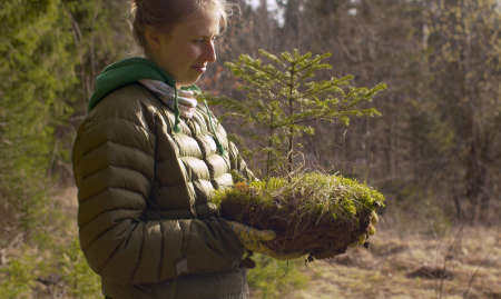Young attractive woman volunteer holding a small fir tree in her hands. Planting trees in spring. Earth Day, eco friendly conceptの写真素材