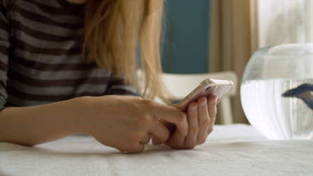 Close up female hands scrolling smart phone at kitchen. Woman searching something in the internet. People at home, domestic daily lifeの写真素材