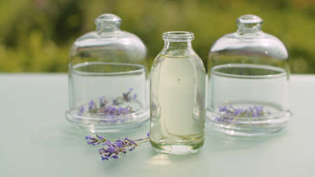 Close up lavender flowers in glass jars and base oil on the table in the garden. Healing herbs. Natural pharmacy and aromatherapy concept. Closeup shot with slide or move camera.の写真素材