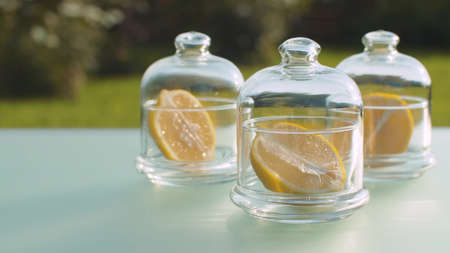 Close up lemon halfs in glass jars on the glass table in the garden. Healthy food, organic vitamins. Natural pharmacy and aromatherapy concept. Closeup shot with slide or move camera.の写真素材