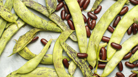 Top view green bean pods and beans. Close up food background, textureの写真素材