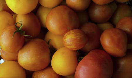 Close up ripe red and yellow tomatoes - vegetable background. Top viewの写真素材
