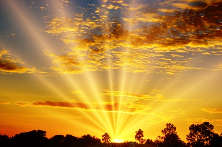 backgroundの写真素材