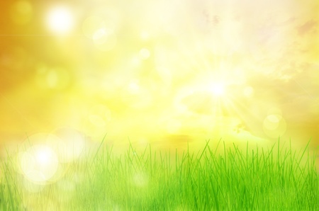 backgroundの写真素材