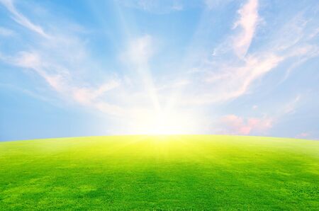 backgroundの写真素材