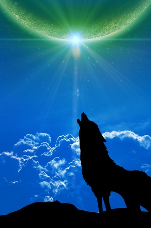 backgroundの写真素材