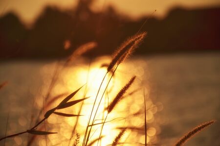 backgroundの写真素材