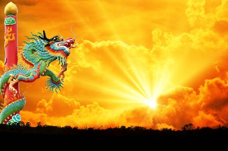 backgroundの写真素材