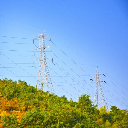 High voltage post in middle of deep rain forest jungleの写真素材