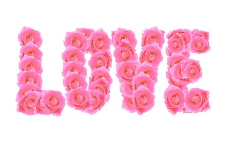 love rose の写真素材