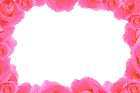 rose frame の写真素材