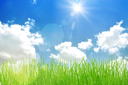 Spring nature background with grass and bokeh lights  Blue skyの写真素材