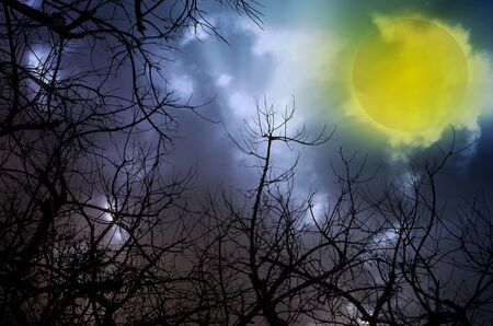 dark moon 
