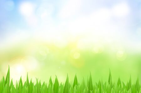 Spring nature background with grass and bokeh lights  Blue skyの写真素材