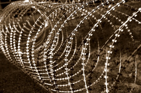 Barbed wire in sepiaの写真素材