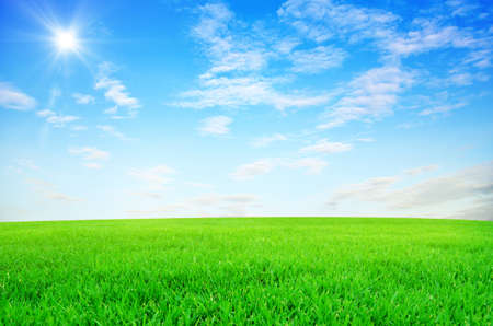 Green field and sky blue with white cloud background の写真素材
