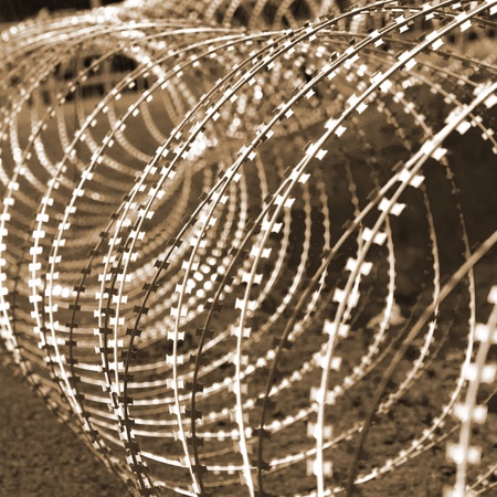 Barbed wire in sepiaの写真素材