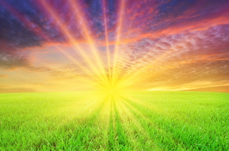 Green field at sunset.の写真素材