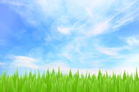 Spring or summer abstract season nature backgroundの写真素材