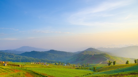 Beautiful summer landscape in the mountains. Sunriseの写真素材