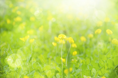 Abstract spring backgroundの写真素材